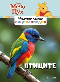 4: Птиците