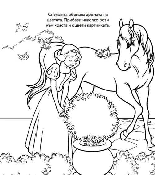 Принцеса: Комплект с 5 молива •