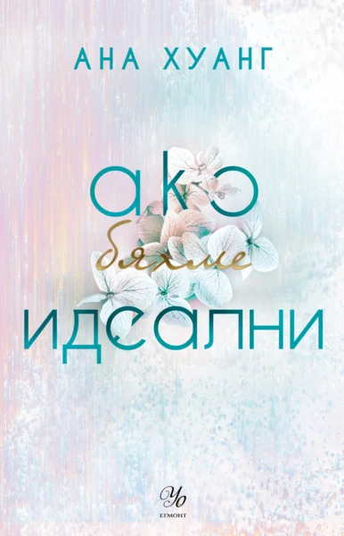 4: Ако бяхме идеални •