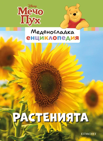 12: Растенията